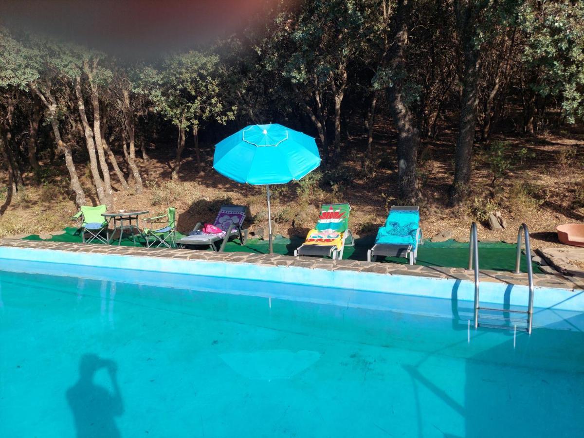 Appartement Cortijo El Tesoro à Busquístar Extérieur photo